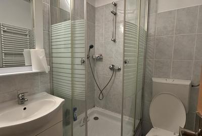 Pantelimon, centrala termica proprie - 2