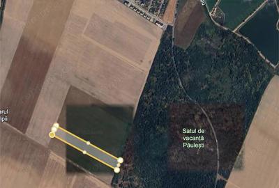 Teren de 30000 mp, în Păulești