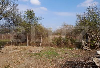 Teren 1160 mp + casa batraneasca, zona Cosoveni - 2