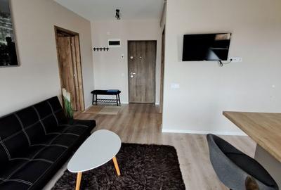 Apartament cu 2 camere în Valea Borcutului - 2