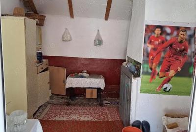 Casă cu Teren 3786 Mp în Sudiți - 5