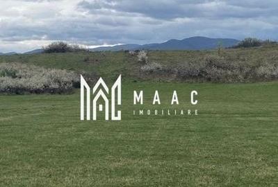 Teren extravilan | Cristian | 11.500 mp - 1