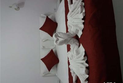 Apartament cu 2 camere decomandat în Sinaia - 3