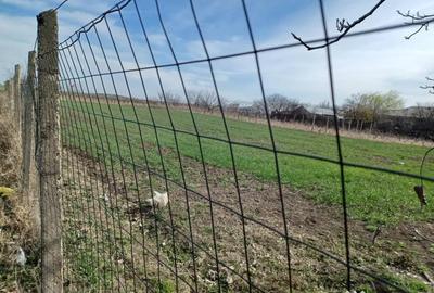 Teren de 5000 mp, în Rubla