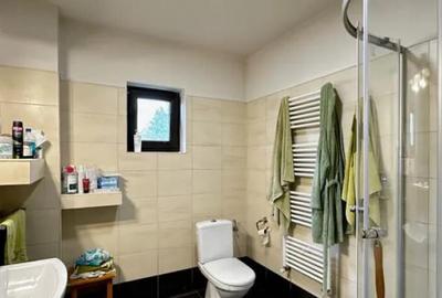 Baia Sprie, zona buna, casa finisata, 10 ari - 1