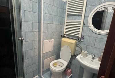 Garsonieră în Buziașului - 7
