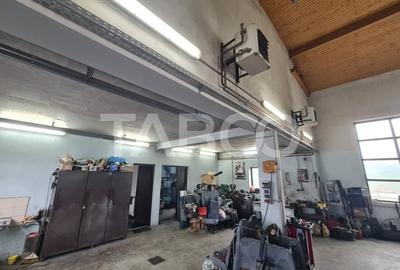 Spatiu industrial de inchiriat in Sebes judetul Alba - 18