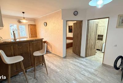 Apartament cu 2 camere decomandat, mobilat în Câmpului - 11