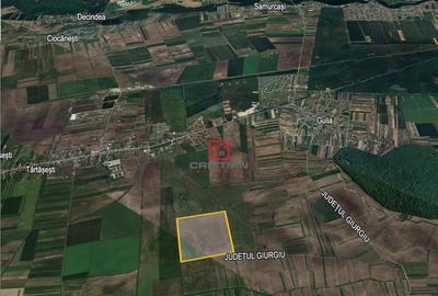 Teren agricol extravilan Tartasesti - Gulia, Dambovita - 3