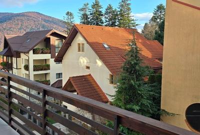 Studio de lux  Sinaia Furnica - 14