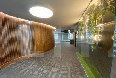 Spatiu deosebit in cladire clasa A - 11