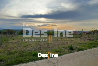 Teren Construcții intravilan de 974 mp, în Bârnova - 2