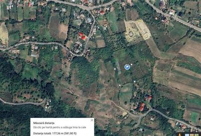 Teren de 4000 mp, în Deleni - 3
