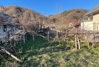 Casă cu 4 camere cu Teren 815 Mp în Târgu Neamț - 5