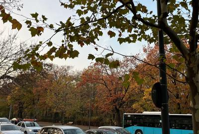 4 CAMERE CU TERASA LOCATIE UNICA: AVIATORILOR-ARCUL DE TRIUMF - 3