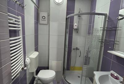 Garsonieră, mobilată în Ultracentral - 8