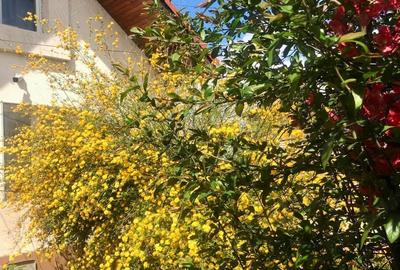 Casă cu 6 camere în Iezureni - 8