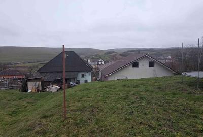 Casă cu Teren 3650 Mp în Sânmihaiu de Câmpie - 2