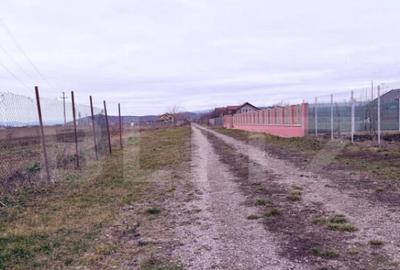 ????? Oportunitate Unica! Teren Ideal pentru Casa cu Pri - 3