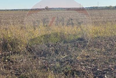 Teren Construcții intravilan de 7000 mp, în Stoenești (Florești-Stoenești) - 12