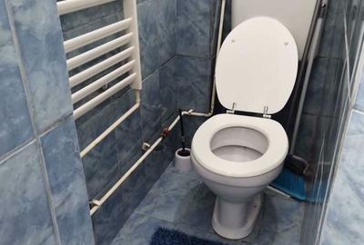 Garsonieră în Malu Roșu - 10