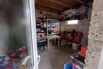 Casa 3 Camere, beci, magazie, mansarda - 500 mp Teren - 14