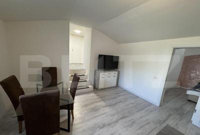 Apartament 2 camere, semidecomandat, curte 50mp Zona Casa St - 7