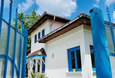 Casă cu 3 camere cu Teren 655 Mp în Bd. Laminorului - 2