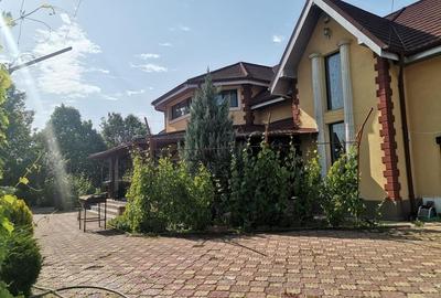 Vilă de lux mobilata/utilata cu terasa+foisor, garaj,gradina si livada - 10
