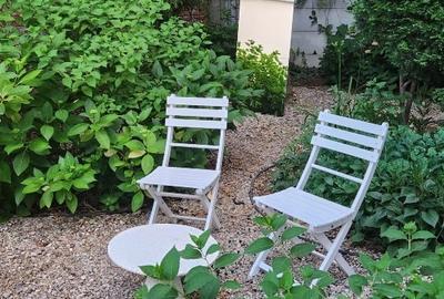 Proprietar, inchiriez vila interbelica cu gradina, Icoanei - 4