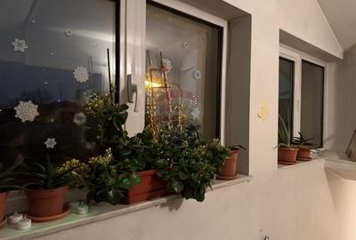 Vila de vanzare 7 camere oportunitate investitie AFTERSCHOOL - 12
