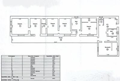 Casă individuală cu 6 camere cu Garaj în Sânandrei - 2