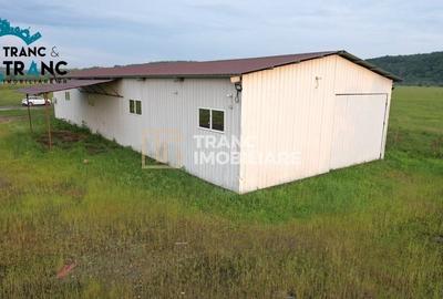 Spațiu industrial, de 317 mp, în Ususău - 5