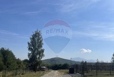 Teren Construcții intravilan de 850 mp, în Tohănița - 3