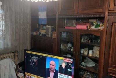 Obor, Colentina, Lacul Tei x  Teiul Doamnei, langa parcul Tei - 5