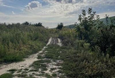 Teren agricol extravilan de 5078 mp, în Stoenești - 3