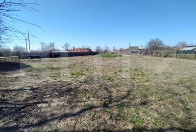 Teren Construcții intravilan de 1685 mp, în Exterior Vest - 4