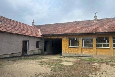 Casă cu 6 camere în Balinț - 1