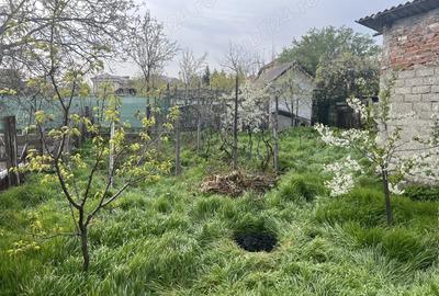Casă cu 6 camere în Central