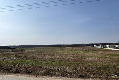 Teren de 2500 mp, în Grădiștea