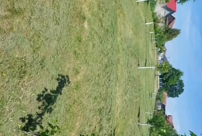 Casă cu 3 camere cu Teren 2210 Mp în Săcel - 9