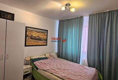 Apartament cu 2 camere semidecomandat în Cetate - 4
