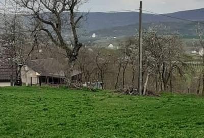 Casa cu teren 1039 mp, zona Uliului, Cluj-Napoca! - 2