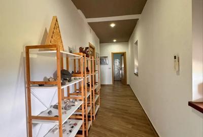 Casă cu 3 camere cu Teren 2400 Mp în Vulcan - 1