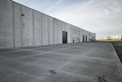 Spațiu comercial, de 523 mp, în Sânandrei - 3