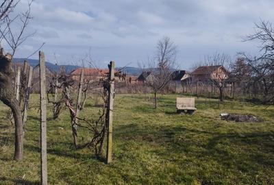 Casă cu 4 camere în Buteni - 2