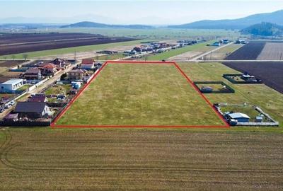 Teren intravilan 18.200mp, cu PUZ si PUD, ideal constructi case, Bod, Brasov. - 7