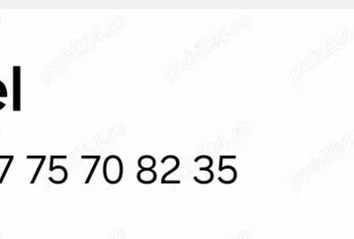 Casa de vanzare in Banloc - 10