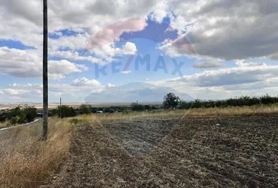 Teren de Vanzare Tulucesti. Potential Logistic, Rezidential 2.200mp - 3