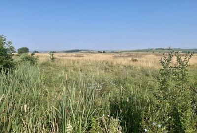 Teren de 19100 mp, în Central - 4